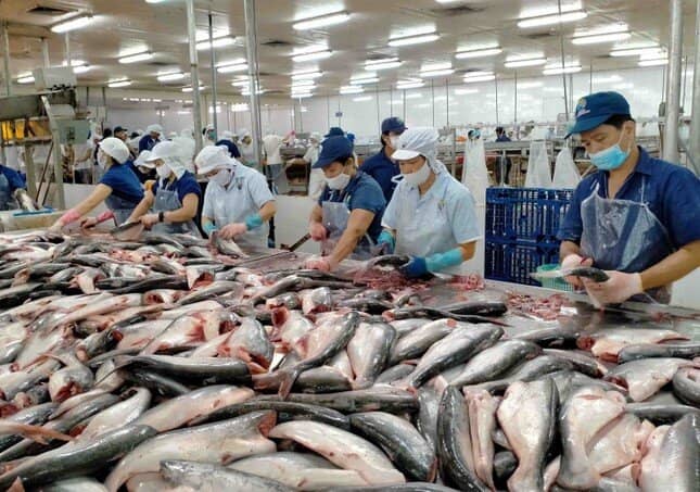 Dự báo bất ngờ cho thủy sản Việt trước hàng rào thuế quan Mỹ ảnh 2