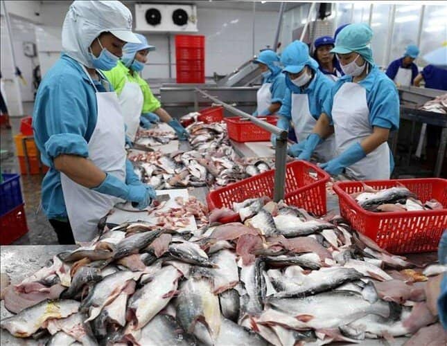 Dự báo bất ngờ cho thủy sản Việt trước hàng rào thuế quan Mỹ ảnh 1