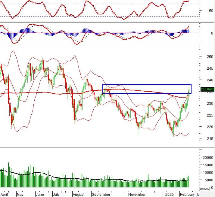 Vietstock Daily 19/02/2025: Tiếp tục rung lắc