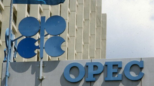 OPEC+ bác bỏ khả năng trì hoãn việc nới lỏng cắt giảm sản lượng