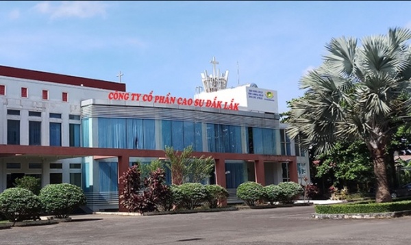 Cựu Tổng Giám đốc Công ty Cao su Đắk Lắk lập công ty “ma” để rửa tiền