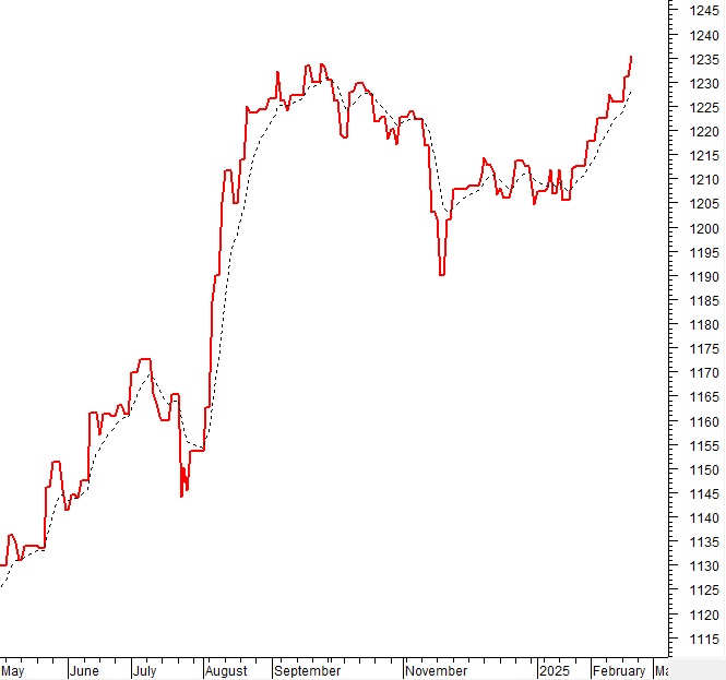 Vietstock Daily 21/02/2025: Giằng co khi test lại vùng đỉnh lịch sử?