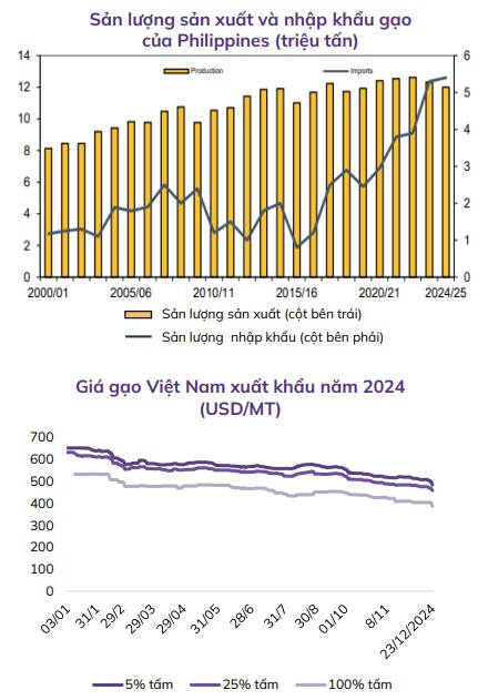 Ngành gạo 2024: Xuất khẩu "vàng ròng", lợi nhuận "hạt cát"