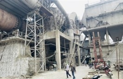 Giá cổ phiếu 'tím' 7 phiên liên tiếp, YBC nói chỉ là diễn biến khách quan