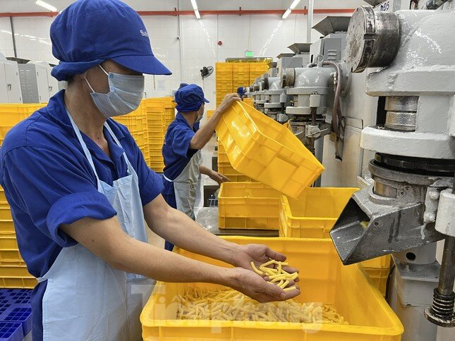 Dày đặc chướng ngại vật trên con đường đi vay vốn ảnh 2