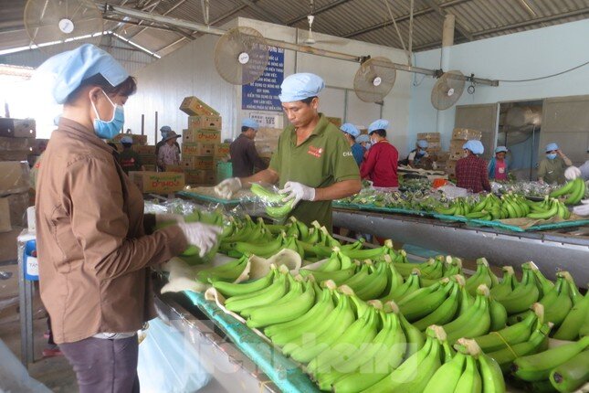 Dày đặc chướng ngại vật trên con đường đi vay vốn ảnh 1