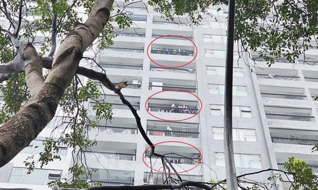 Sau vỡ tiến độ, dự án Athena Complex Pháp Vân cho dân vào ở chui? ảnh 3