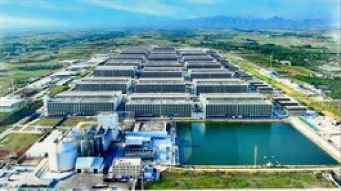 BAF lập 3 công ty con vốn 760 tỷ, chuẩn bị cho dự án “chuồng trại cao tầng”