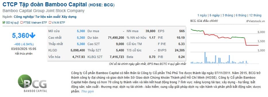 Gần 5.3 triệu cp BCG sắp bị bán giải chấp?