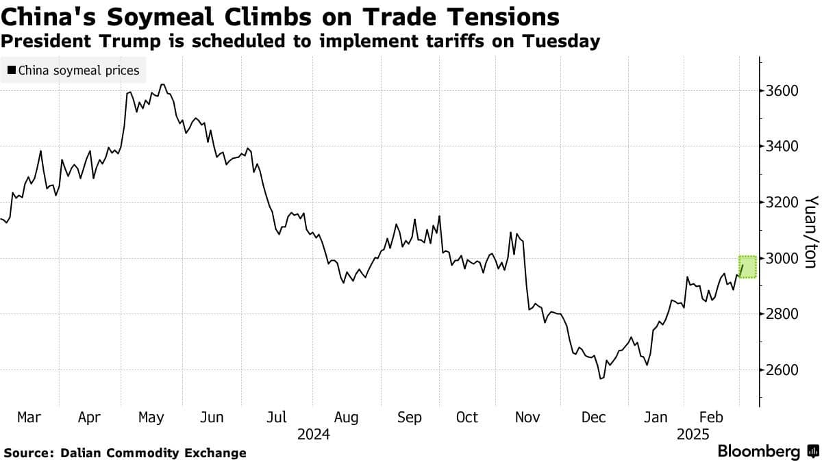 “Bão thuế quan” của Trump làm rung chuyển chứng khoán toàn cầu, Nikkei 225 giảm hơn 2%
