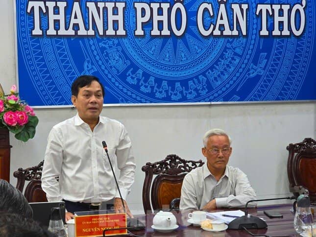 Vì sao gạo Việt xuất khẩu nhiều nhưng tiền thu về ít?