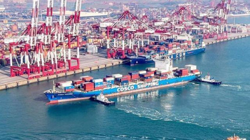 Xuất khẩu vào Trung Quốc: Ứng phó kịp thời với các biến động chính sách