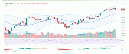 VN-Index vẫn đang chịu áp lực rung lắc liên tục để kiểm tra lại vùng giá 1.300 điểm
