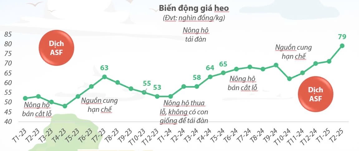 Giá heo tăng “bật nóc”: Chuyện gì đang xảy ra ở thủ phủ chăn nuôi heo phía Nam?