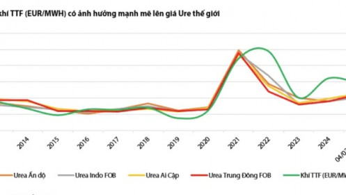 Giá phân bón thế giới dự báo tăng hết quý 1/2025 nhờ giá khí tăng