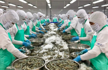 Đa dạng hóa sản phẩm thủy sản xuất khẩu
