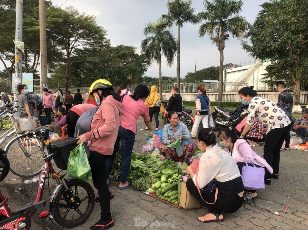 Giá thịt heo bao giờ hạ nhiệt?