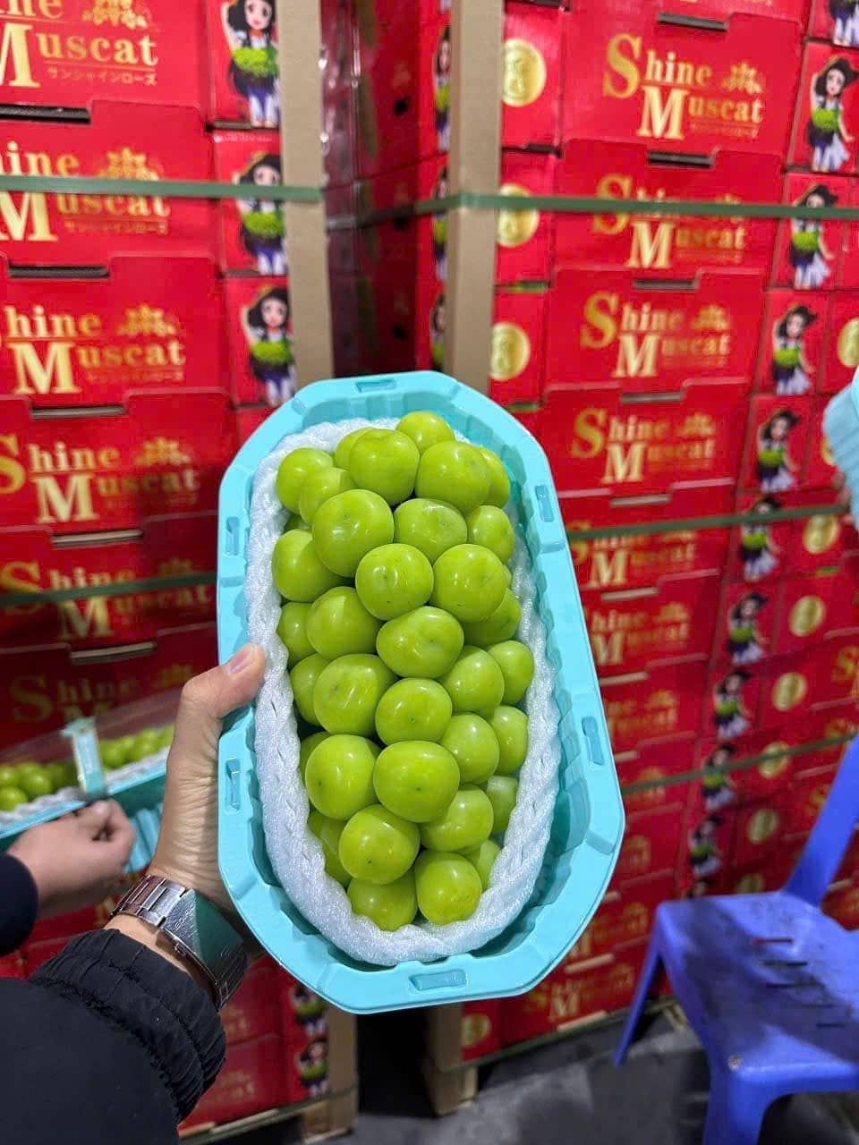 Tiểu thương tiết lộ lý do khiến nho sữa thượng hạng tươi rói bỗng có giá "rẻ bèo"