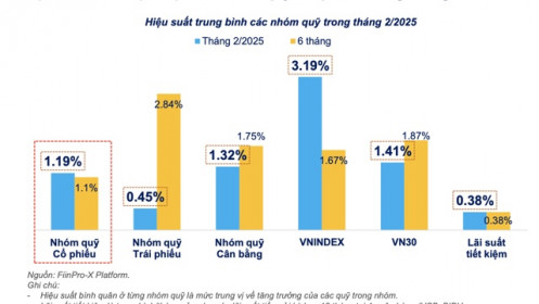 57/68 quỹ cổ phiếu báo lãi trong tháng 2, quỹ nội thắng đậm nhờ "ôm" cổ phiếu bất động sản