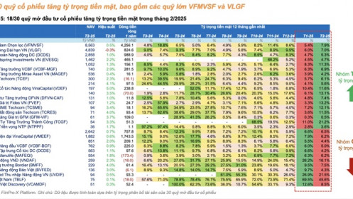 Hiệu suất tích cực nhưng hầu hết các quỹ vẫn gia tăng nắm giữ tiền mặt do lo ngại thuế quan Mỹ