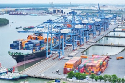 SGP giảm lãi 2024 sau kiểm toán, thấp hơn năm trước 42%