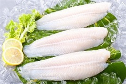 VHC - Tiếp tục tích cực (Kỳ 1)