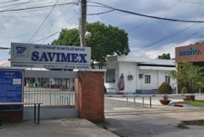 SAV dự kiến lãi trước thuế năm 2025 đi lùi 36%