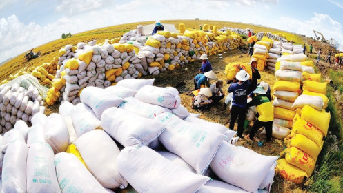 Tin vui cho xuất khẩu gạo