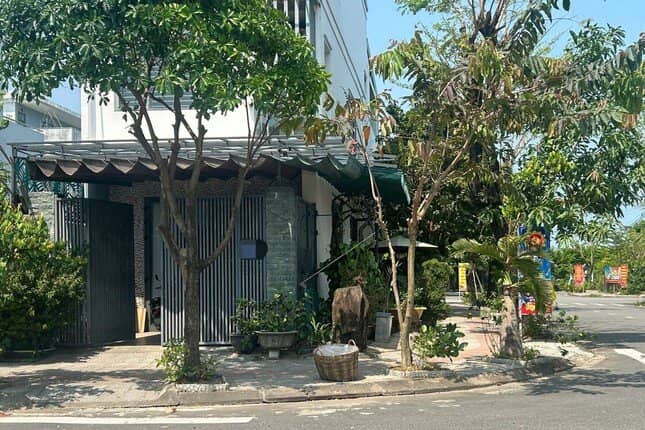 Cô giáo tá hỏa bỗng dưng thành giám đốc doanh nghiệp, bị cấm xuất cảnh