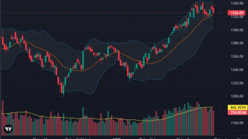 FPT lại thủng đáy, xoay trụ bất thành, thị trường chìm trong sắc đỏ