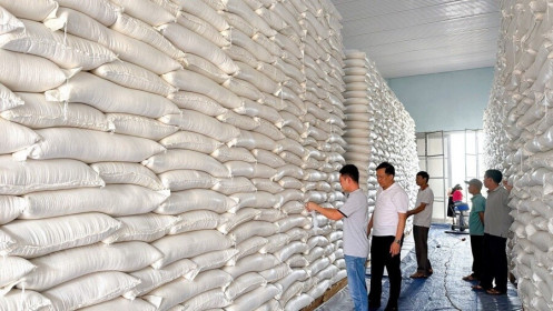 Phê duyệt gói thầu mua 220.000 tấn gạo nhập kho dự trữ quốc gia