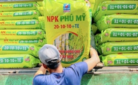 DPM chi hơn 1,000 tỷ cho nhân sự, lãi giảm sau kiểm toán
