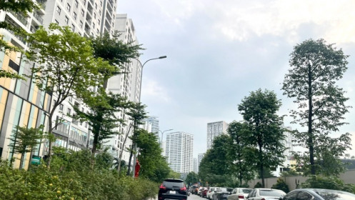 Thủ tướng yêu cầu báo cáo dự án đầu tư gặp vướng mắc và tồn đọng kéo dài trước ngày 10/4