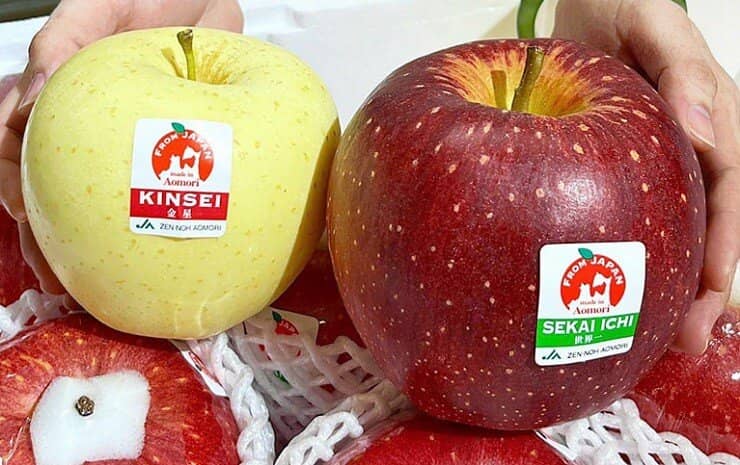 Loại táo giá hơn nửa triệu đồng/quả khiến giới nhà giàu “phát sốt” có gì đặc biệt?