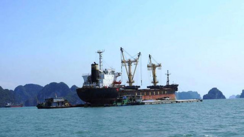 Vận tải ven biển tăng trưởng ấn tượng hai con số