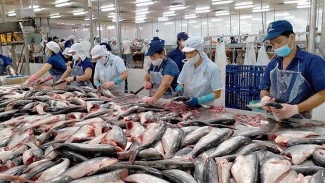 Mỹ áp thuế 46%, Thứ trưởng Nông nghiệp nói: 'Tôi chết điếng người'