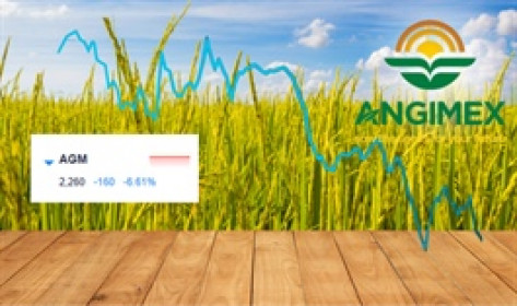 AGM bị hủy niêm yết vì lỗ nặng, cổ phiếu "bay hơi" gần như toàn bộ sau 3 năm