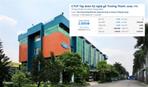 Lãi giảm hơn nửa sau kiểm toán, cổ phiếu TTF sàn liên tiếp trước cú sốc thuế Mỹ