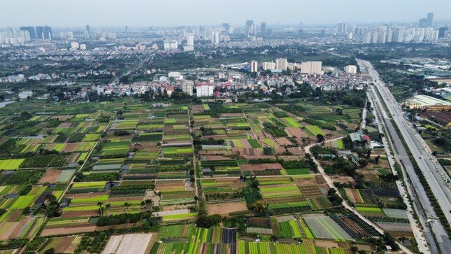 Gia hạn nộp tiền thuê đất năm 2025