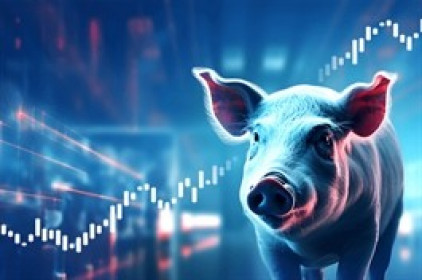 Ngành chăn nuôi heo Việt ra sao trong "bão" thuế quan từ Mỹ?