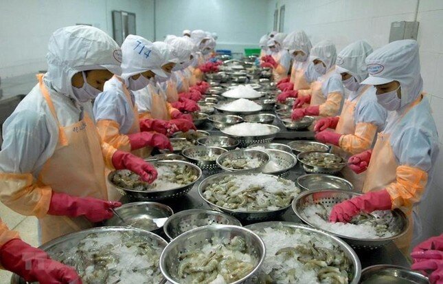 Mặt hàng thủy sản nào của Việt Nam đang bị tác động lớn nhất?