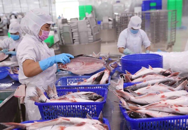 Mặt hàng thủy sản nào của Việt Nam đang bị tác động lớn nhất?