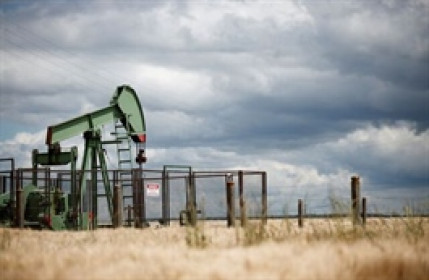 Giá dầu tăng 13% từ đáy sau tin hoãn thuế