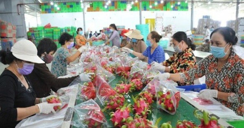 Việc doanh nghiệp Việt cần làm ngay khi Mỹ hoãn áp thuế 46%