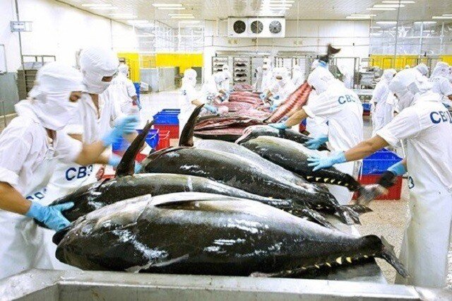 Mỹ hoãn áp thuế 90 ngày: Doanh nghiệp thủy sản đề xuất ‘nóng’ ảnh 1
