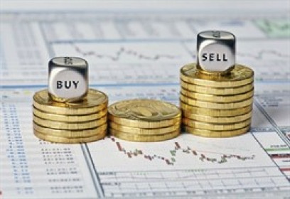 Quỹ đầu tư mua, bán gì tuần qua?