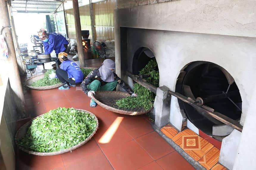 Giải “cơn khát” vốn tín dụng cho khu vực kinh tế tập thể