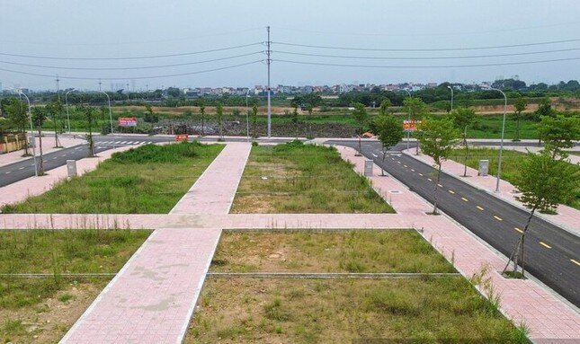 Phân khúc bất động sản nào tăng giá cao nhất thời gian qua?