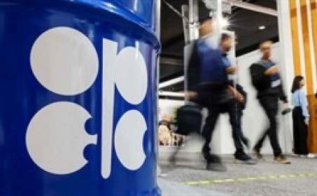 Dầu đi ngang dù OPEC hạ dự báo tăng trưởng nhu cầu