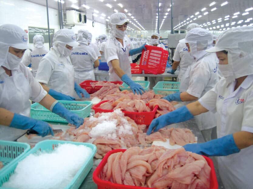 Ngân hàng Nhà nước triển khai gói tín dụng 100.000 tỉ đồng hỗ trợ nông, lâm, thủy sản